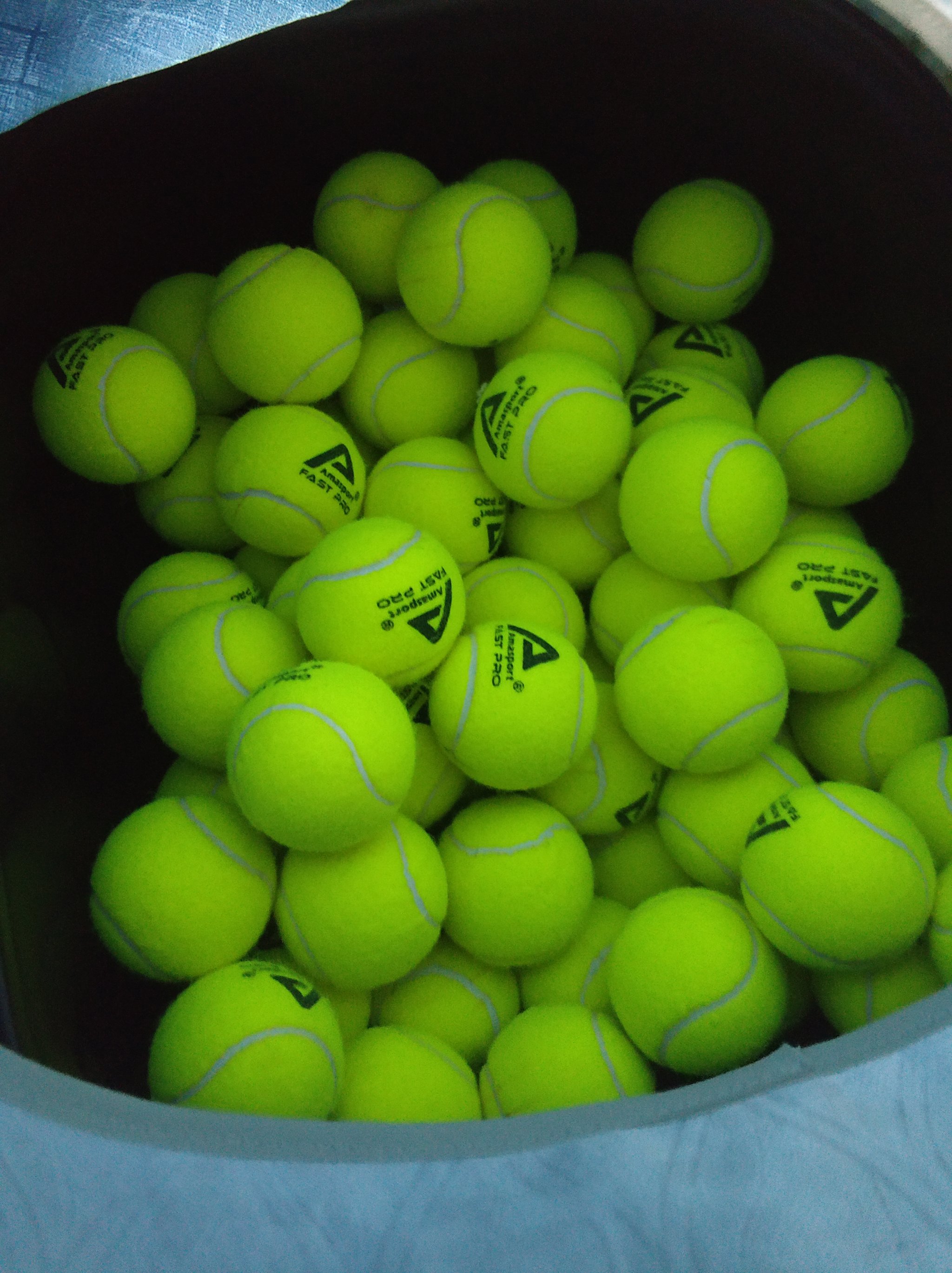 回报和竞技 回报和竞技